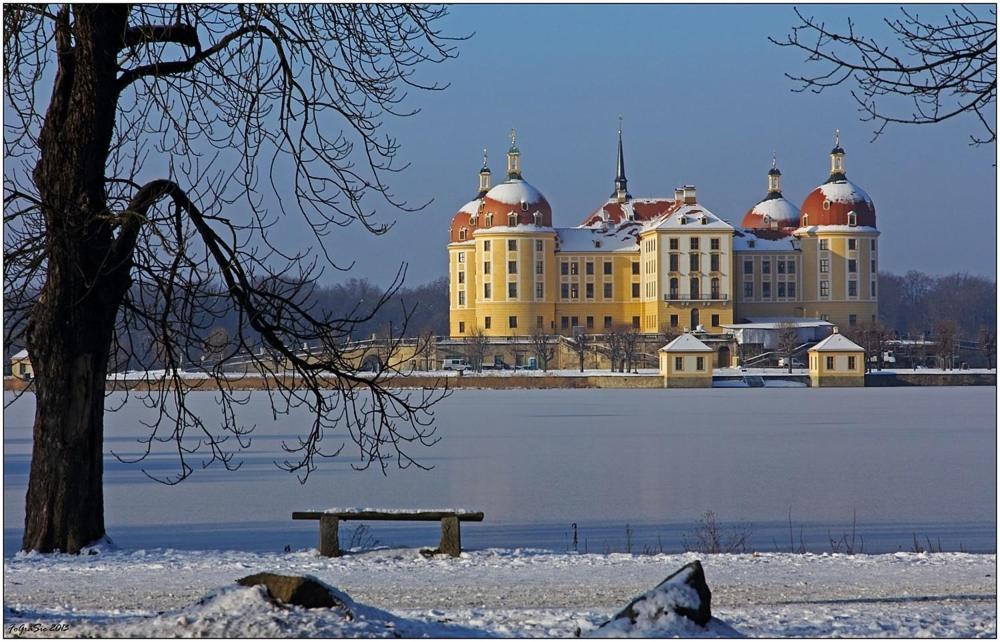Gartenhaus Klotzsche Drážďany Exteriér fotografie