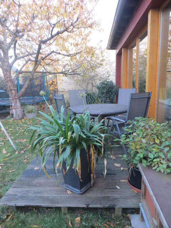 Gartenhaus Klotzsche Drážďany Exteriér fotografie