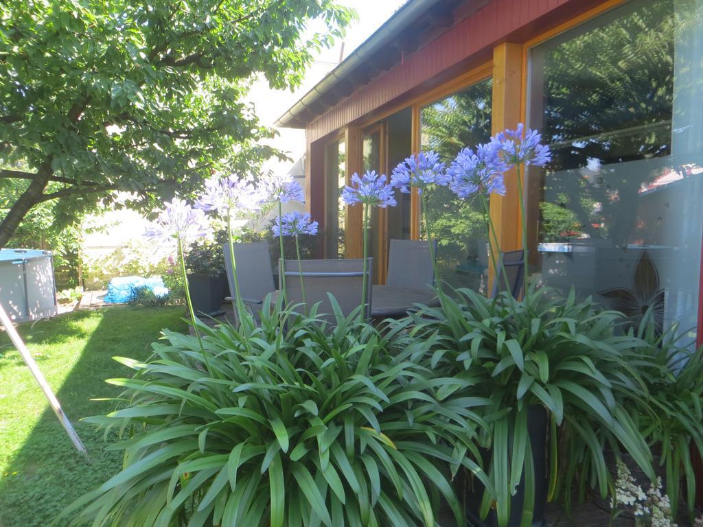 Gartenhaus Klotzsche Drážďany Exteriér fotografie