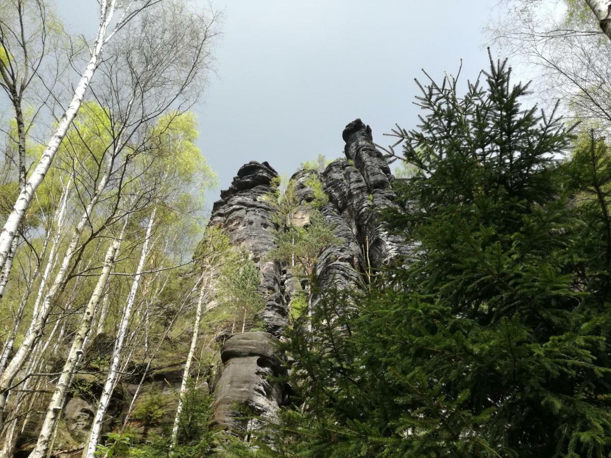Gartenhaus Klotzsche Drážďany Exteriér fotografie